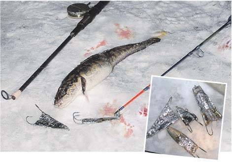Рыба налим: ответы на вопросы по ловле хищника