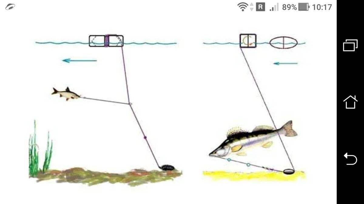 Как поймать живца без удочки с берега: советы, как наловить малька для ловли хищника летом и зимой методом быстрой ловли