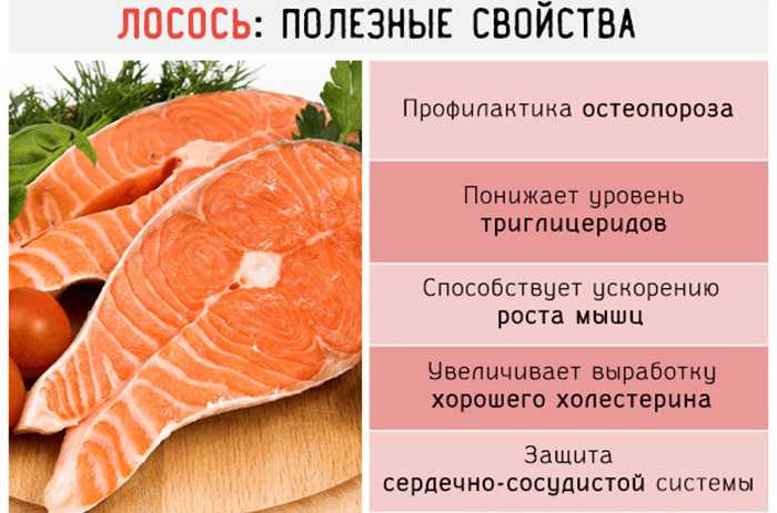 Чем отличается горбуша от лосося. разница между горбушей и лососем. разделка речной и морской рыбы