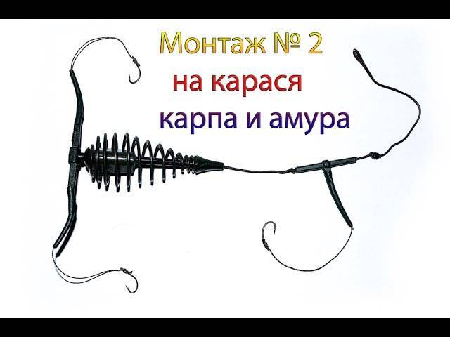 Как поймать белого амура на удочку – выбор приманок и прикормки