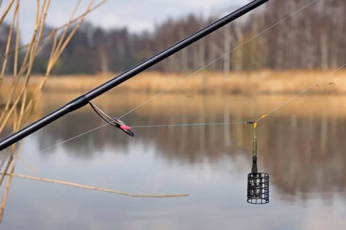 Рыбалка на фидер - ключевые моменты и особенности