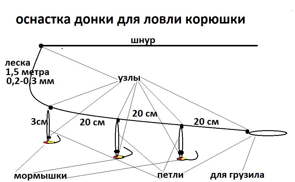 Пойдем за корюшкой? - спортивное рыболовство