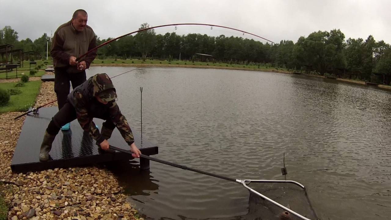 Рыбалка в тверской области: как рыбачить на волге, медведице, озере щучье в твери