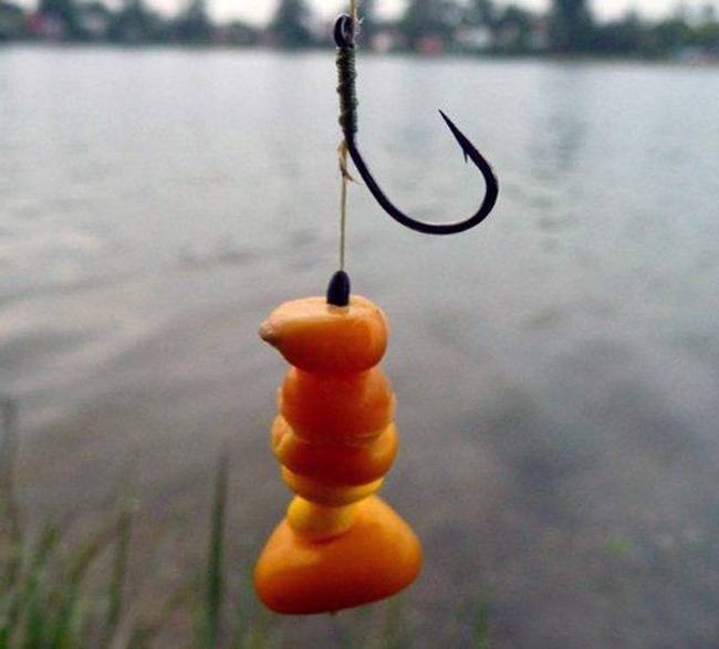 Ловля белого амура в июне - читайте на сatcher.fish