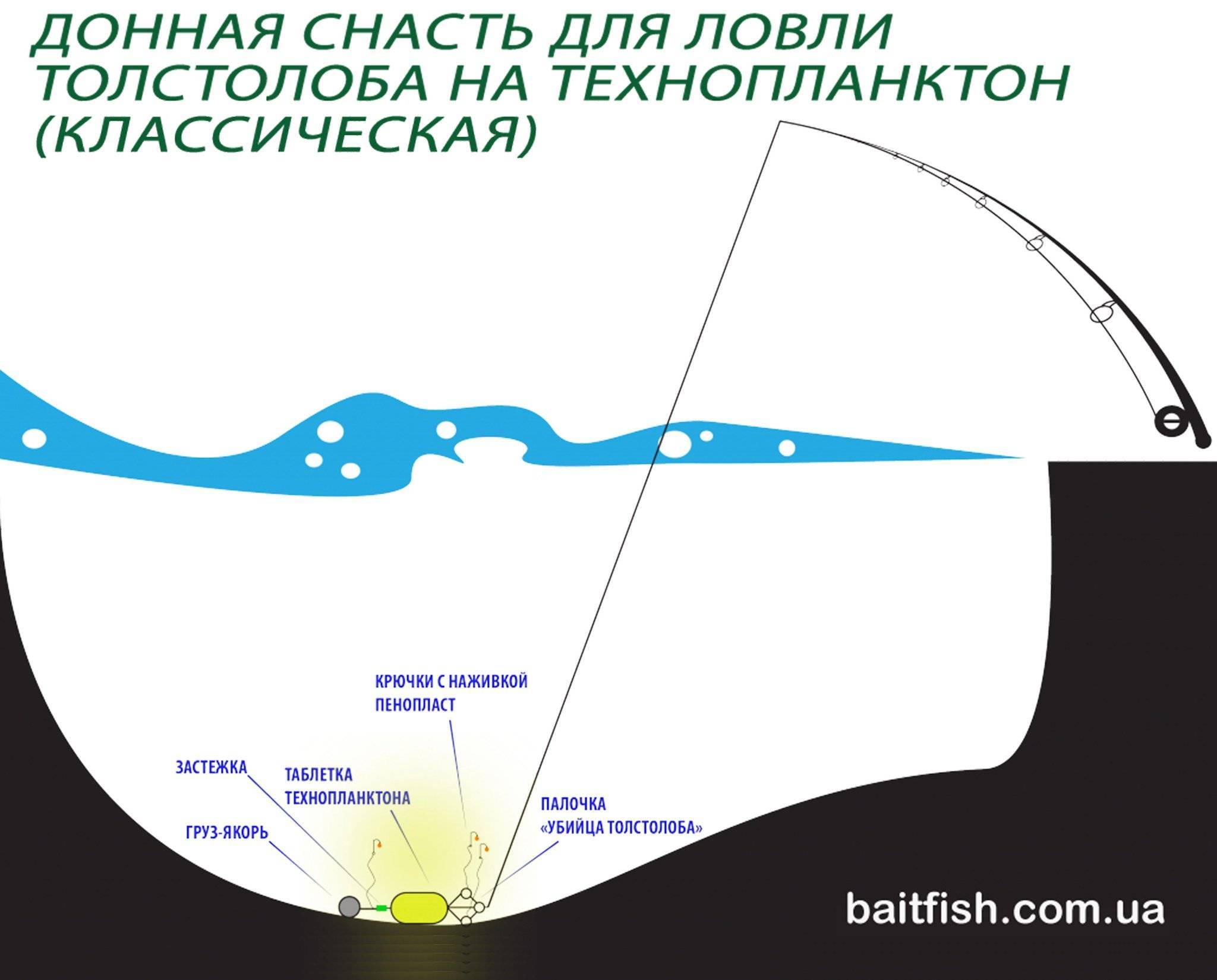 Как ловить толстолобика в прудах летом, способы поймать на удочку