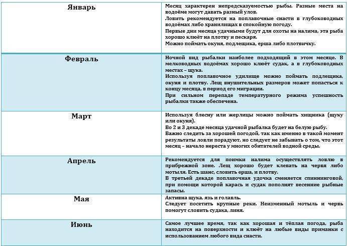 При каком ветре лучше клюет рыба летом, влияние его направления на рыбалку