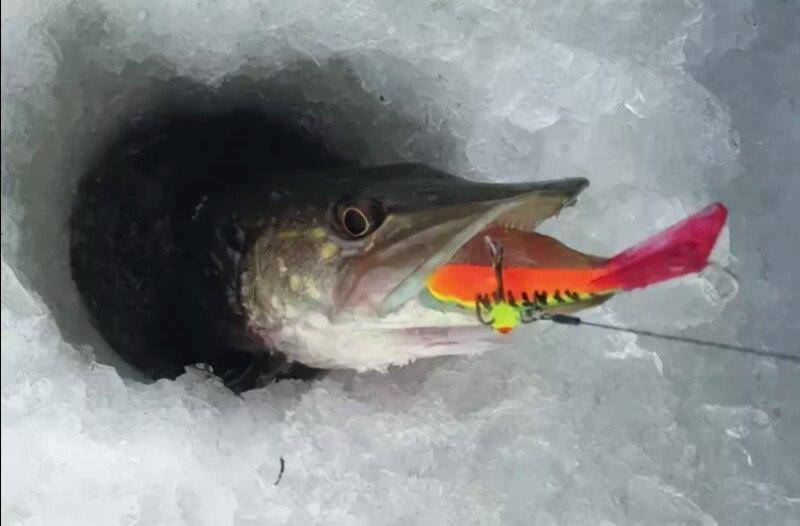 Ловля щуки на балансир – интересная зимняя рыбалка