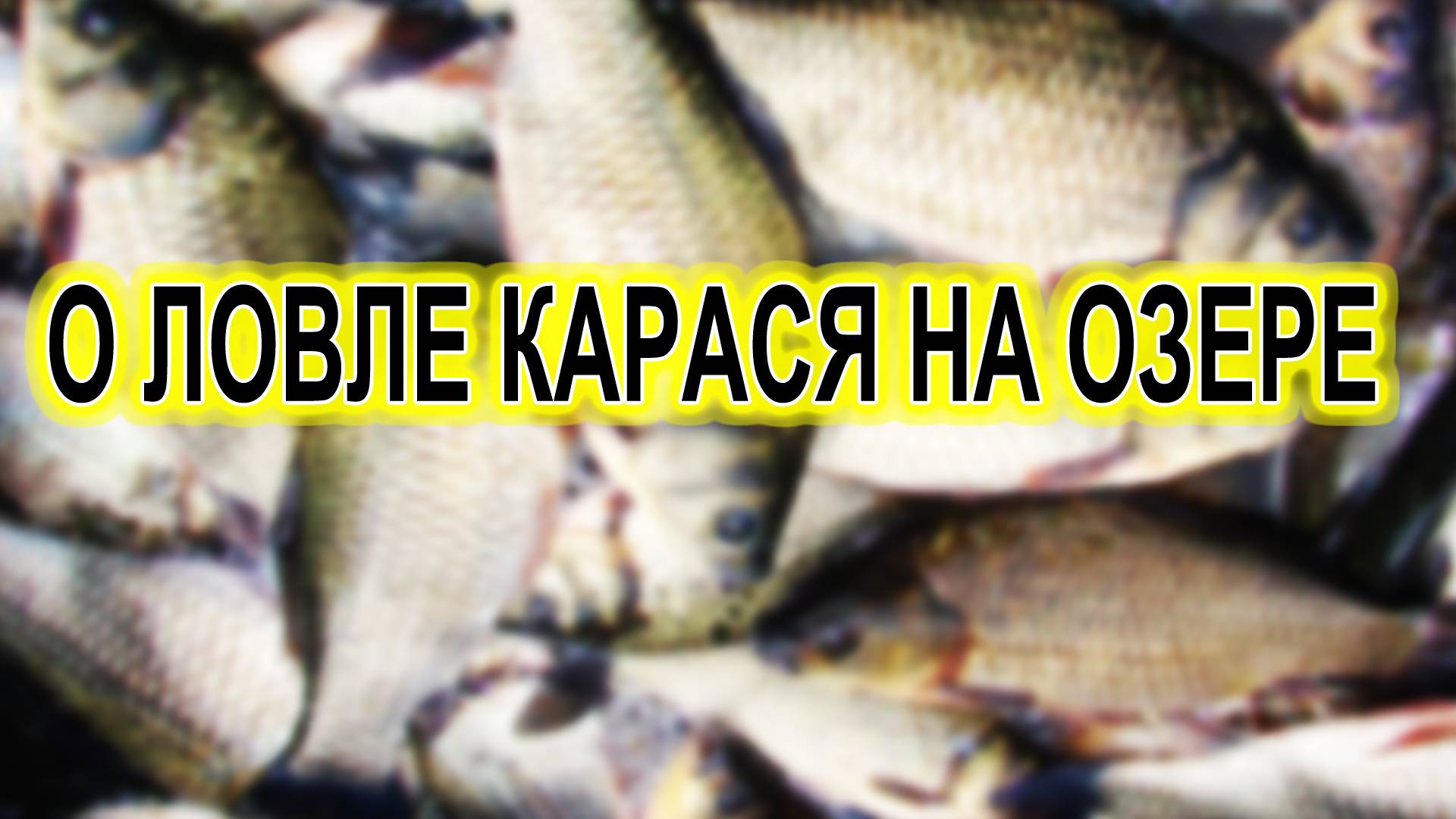 Почему рыба не клюет, как заставить клевать, советы рыбакам. что делать если рыба не клюет