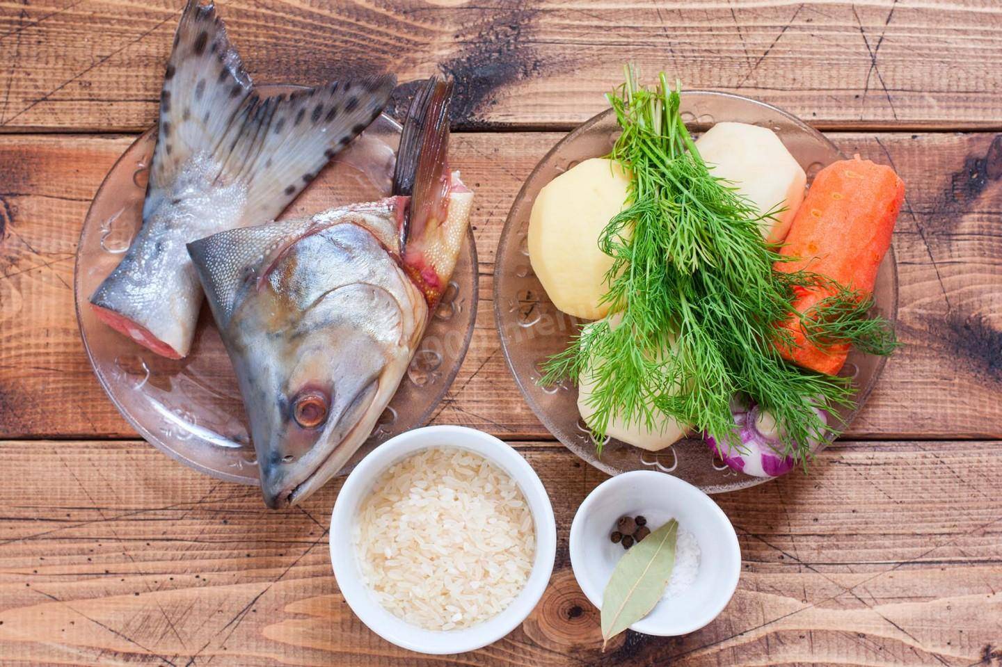 Уха из семги - как вкусно приготовить в домашних условиях по рецептам с фото