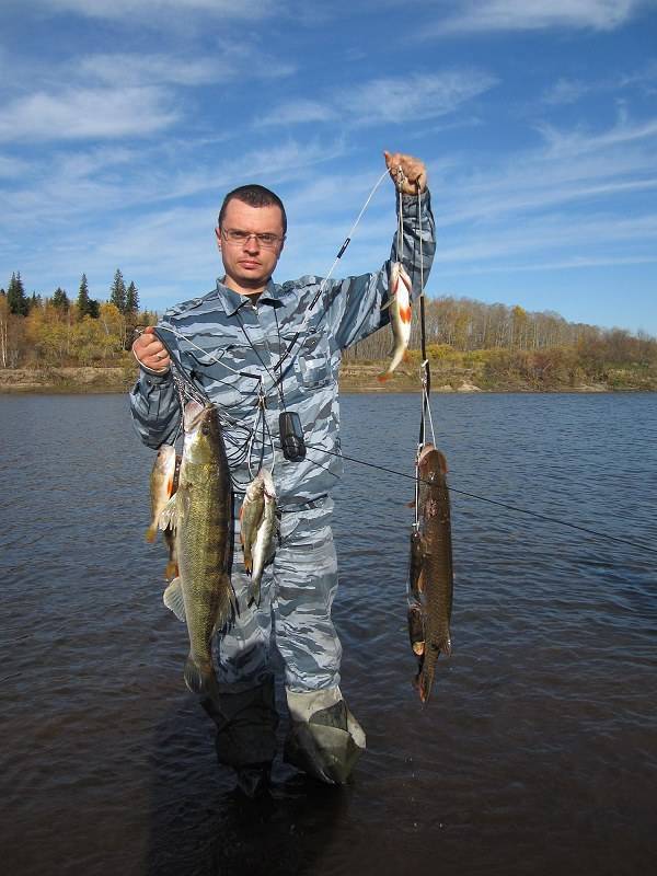 Рыбалка в кемеровской области - читайте на сatcher.fish