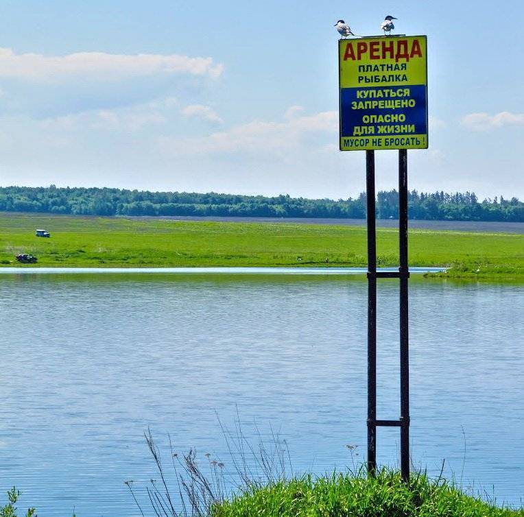 Рыбалка в ульяновской области: лучшие места на карте топ-10