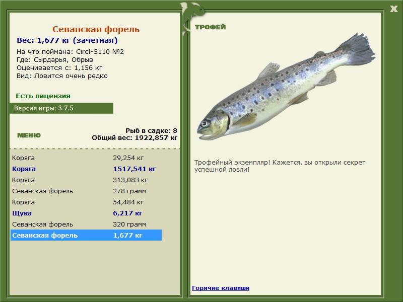 Форель адриатическая фото и описание – каталог рыб, смотреть онлайн