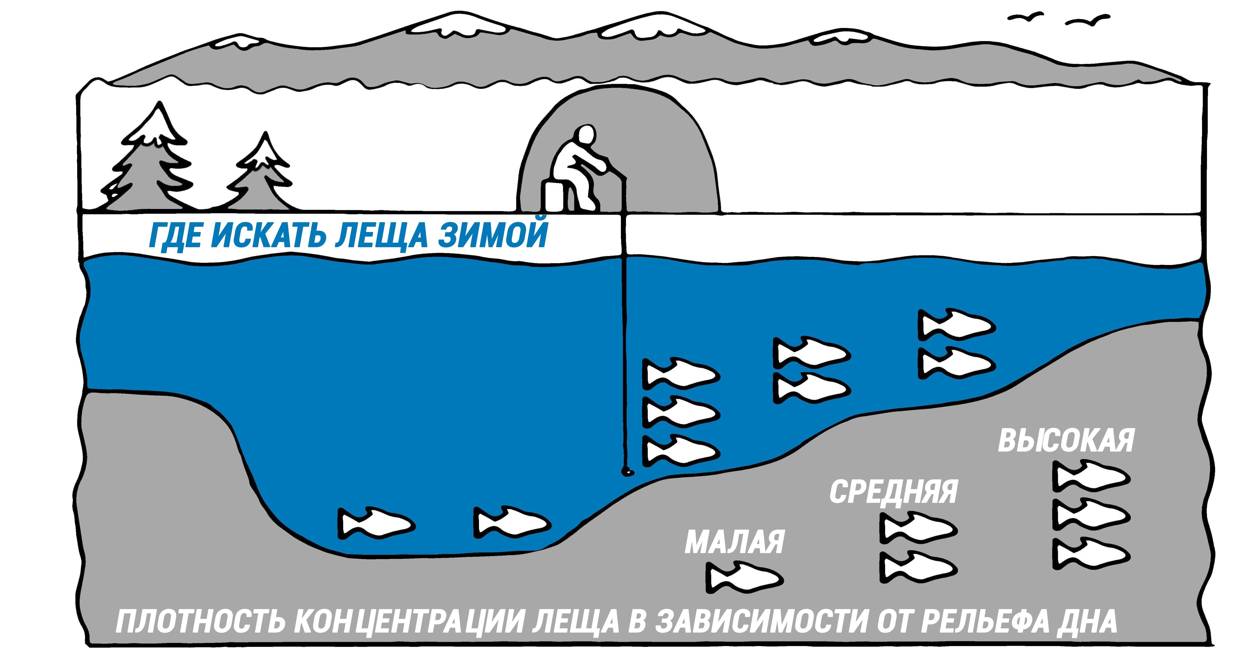 Погода для ловли леща