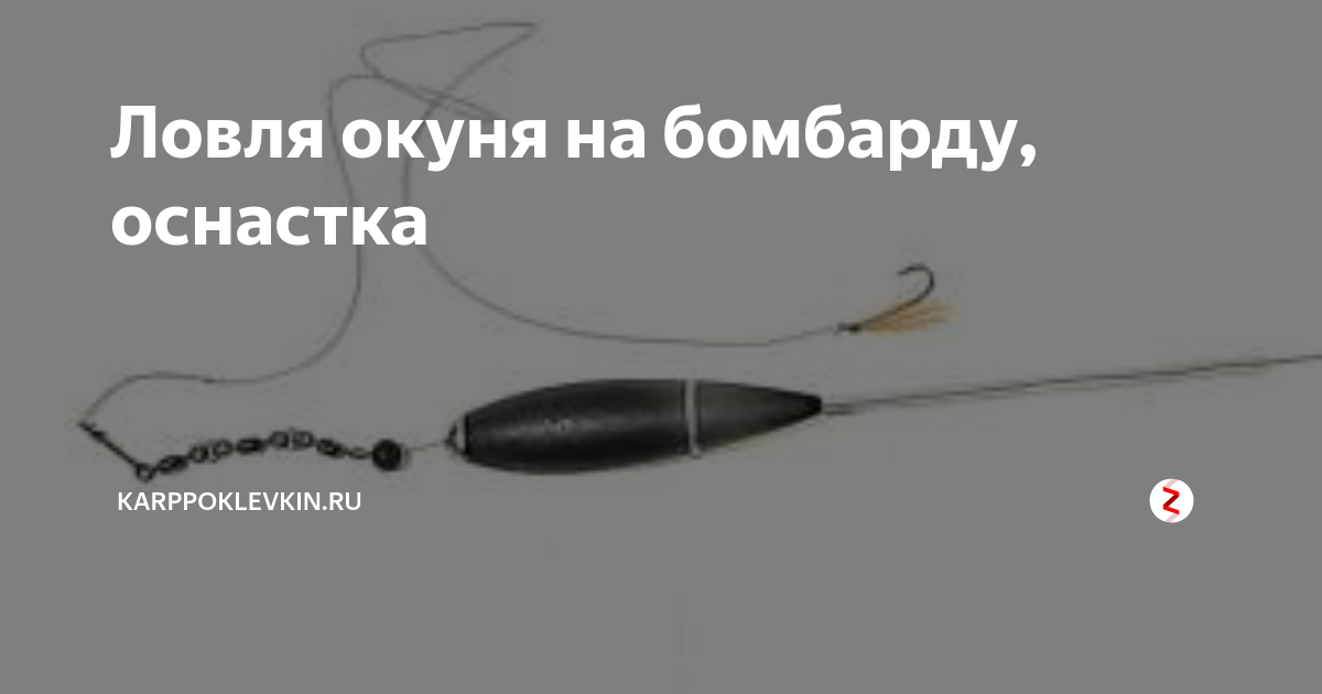 Особенности ловли чехони с бомбардой — оснастка, приманка и тактика