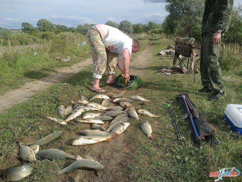 ᐉ ола - место для рыбака - ✅ ribalka-snasti.ru