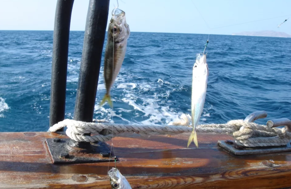 Ловля рыбы в чёрном море (туапсе)
