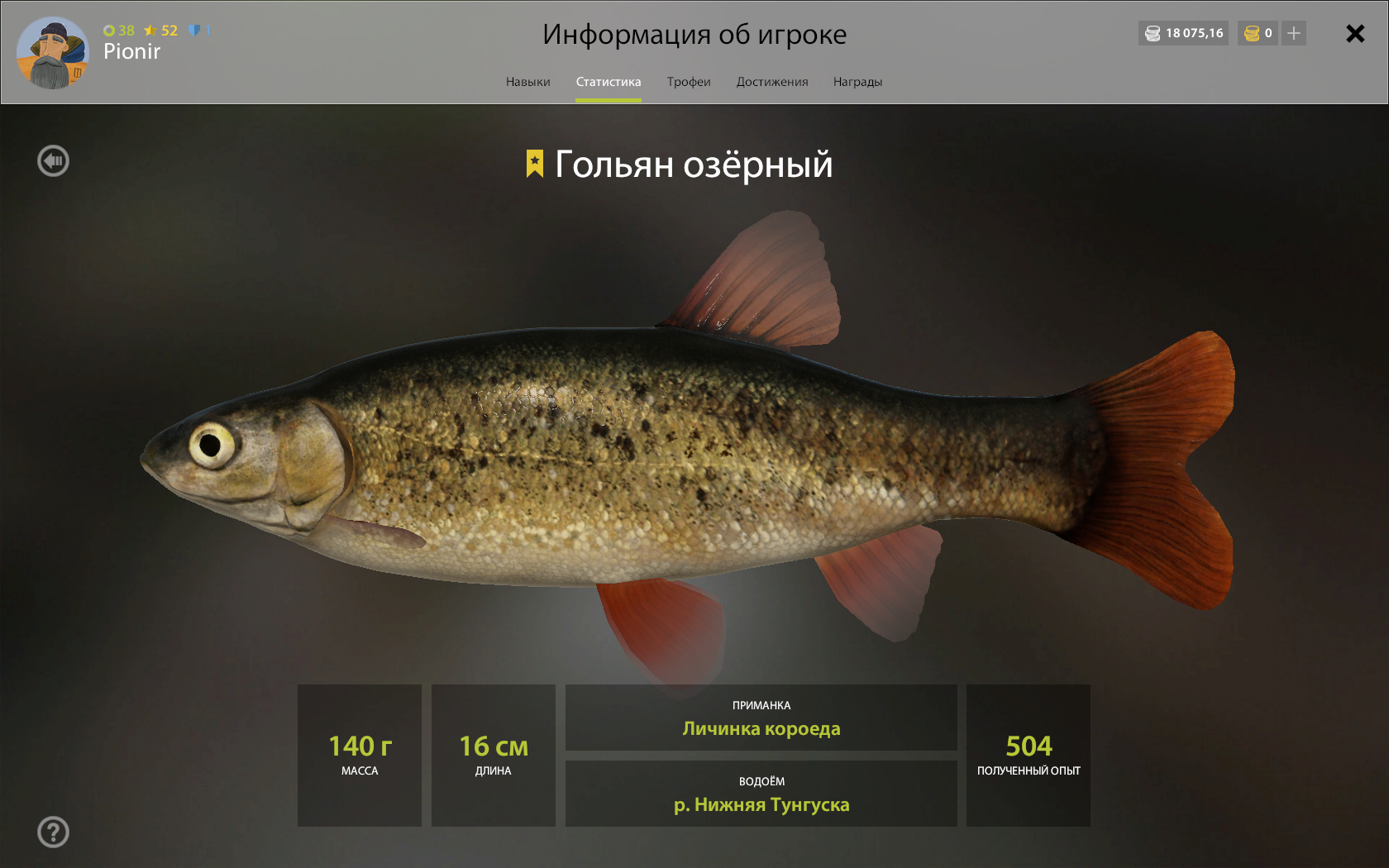 Рыба пескарь, фото и описание, внешний вид