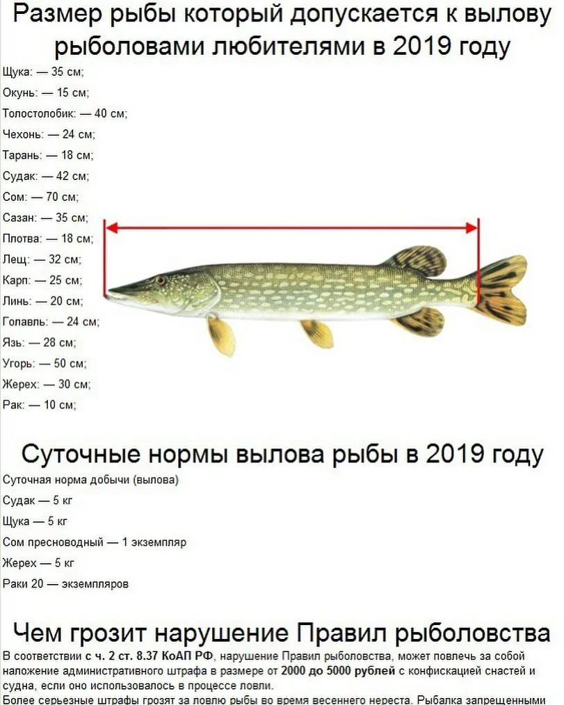 Спиннинг для начинающих выпуск №56