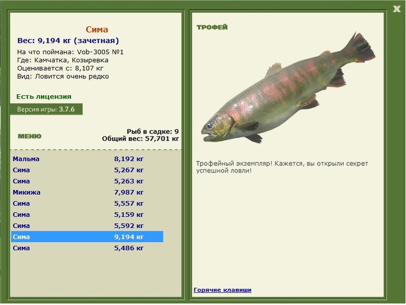 Сима (рыба): описание, вкусовые качества, калорийность, рецепты приготовления
