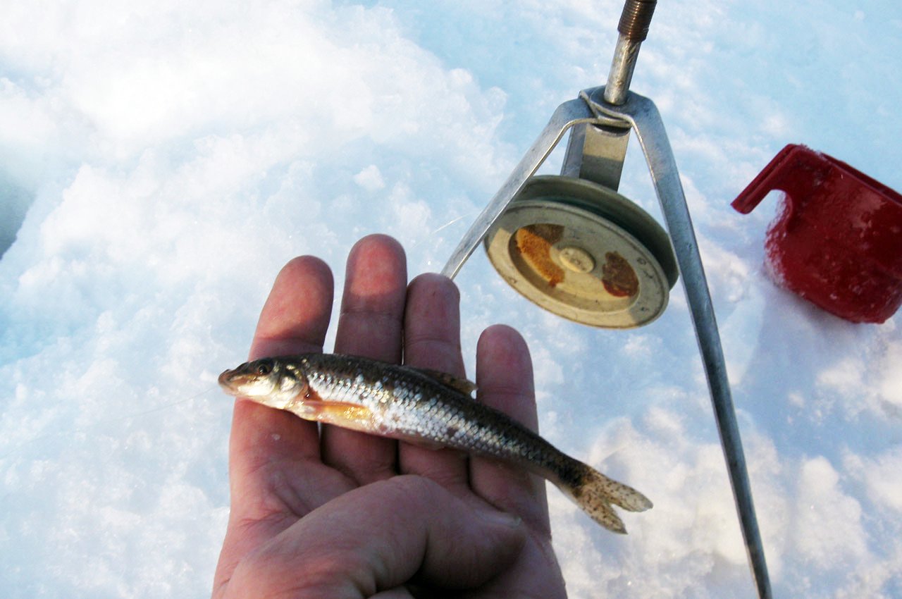 Рыбалка в январе: особенности зимней ловли, необходимые снасти