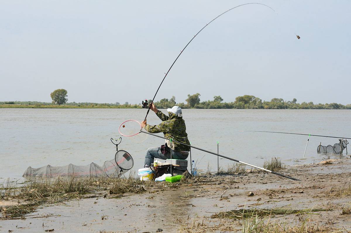 Куда поехать на рыбалку в ивановской области и иваново и запрет 2021