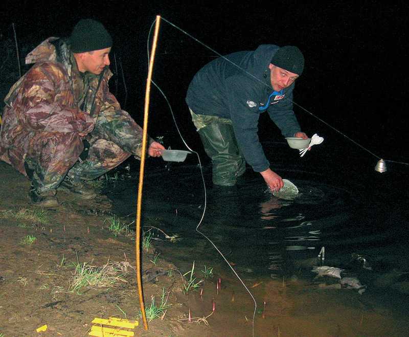 Береговая ловля налима осенью: снасти, оснастка, поиск рыбы и наживка