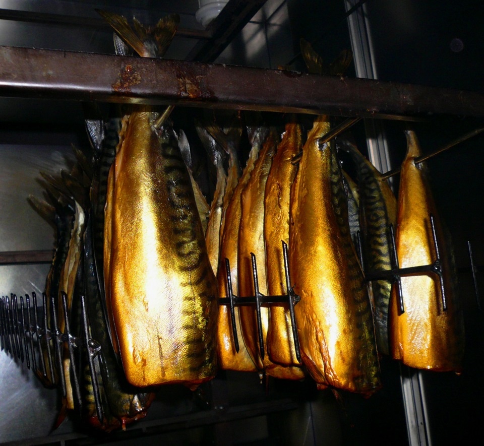 Рыба холодного копчения в домашних условиях: правила, секреты и технология