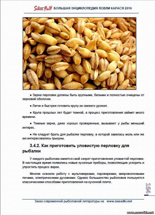 Перловка для рыбалки на карася: сварить или запарить?