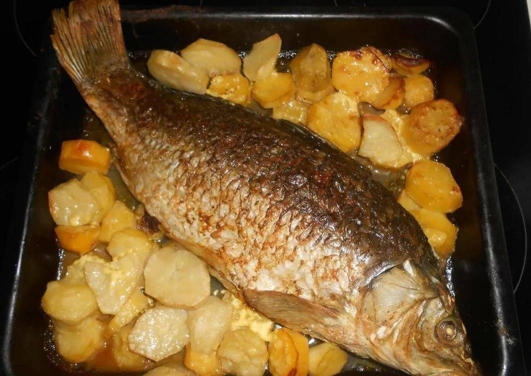 Рыба сазан – 6 вкусных рецептов приготовления, как запечь в духовке или пожарить на сковороде