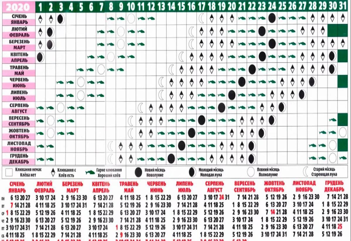 Лунный календарь окрашивания на октябрь 2023