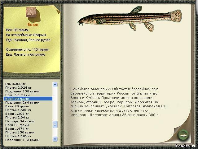 Вьюн: 115 фото как и на что ловить вьюна. рекомендуемые снасти и образ жизни рыбы