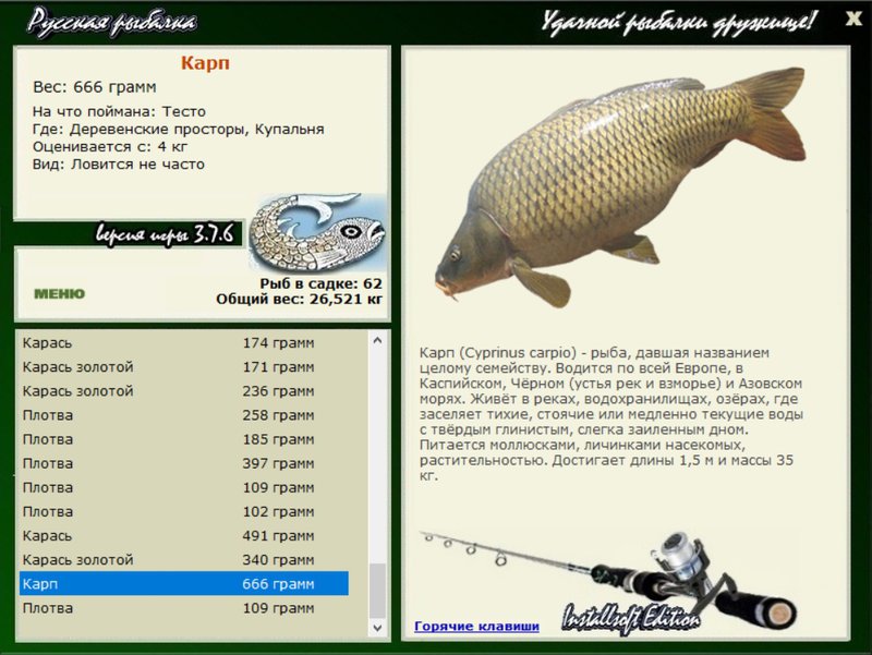 Ловля карпа на пруду