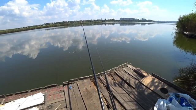 Как правильно ловить плотву на поплавочную удочку весной, летом и осенью