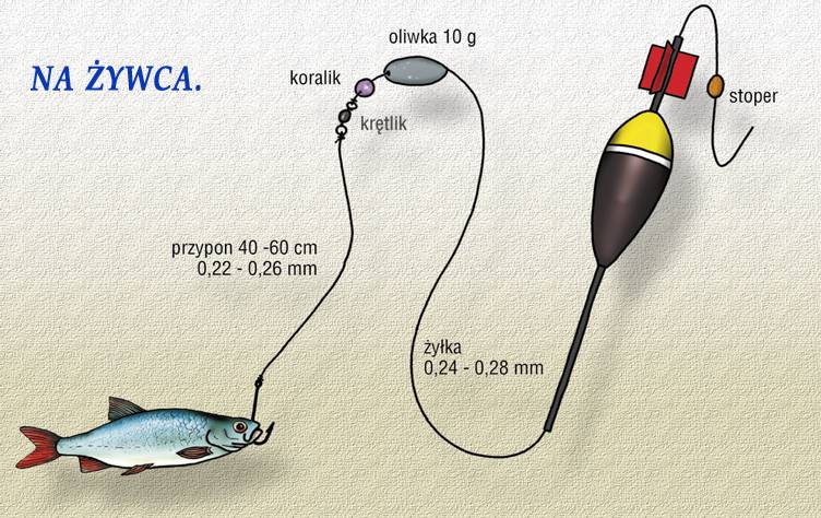 Приманки и оснастки на ротана - спортивное рыболовство