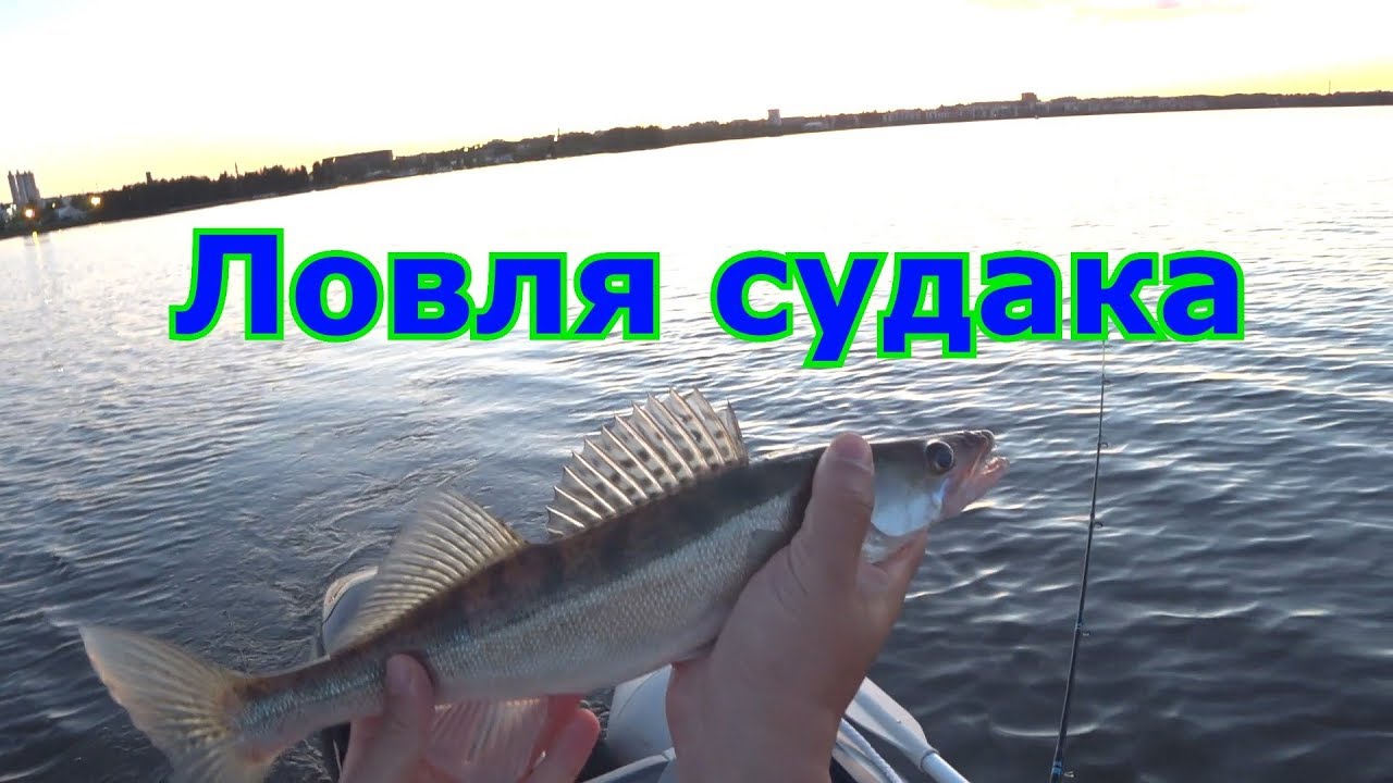 Воблеры на судака для троллинга – 10 лучших моделей