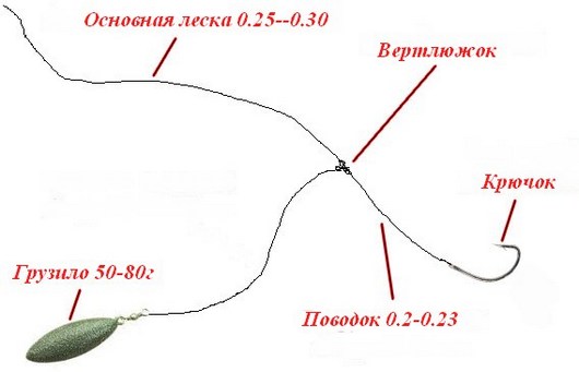 Ловля голавля на майского жука