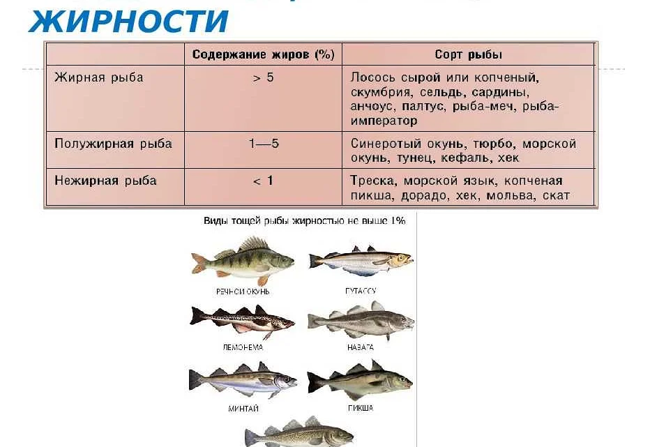 Нежирная рыба для диеты, список подходящих сортов
