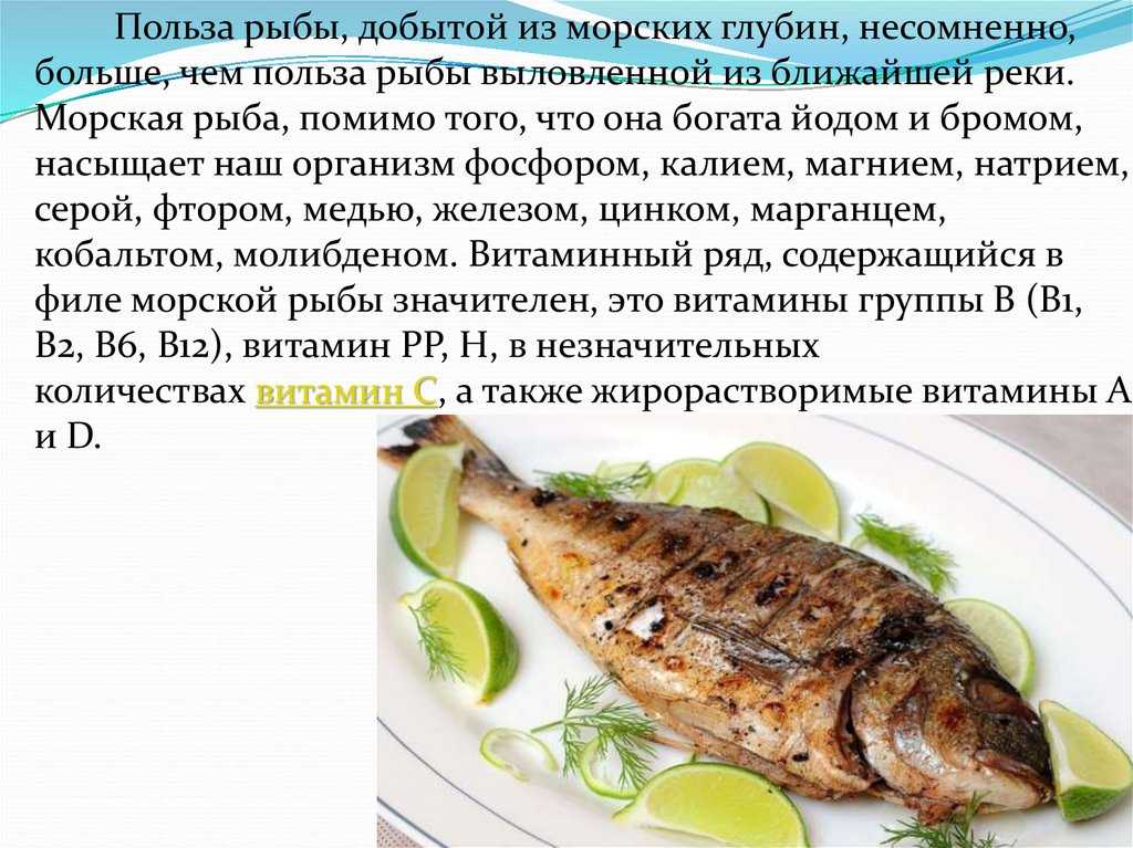 Морской окунь калорийность на 100 грамм. «золотая рыбка» морской окунь: его польза и вред для человека, способы приготовления и нормы употребления