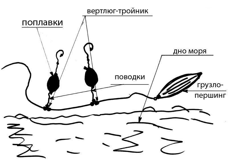 На что и как ловить кефаль: снасти, наживка и ловля кефали с берега