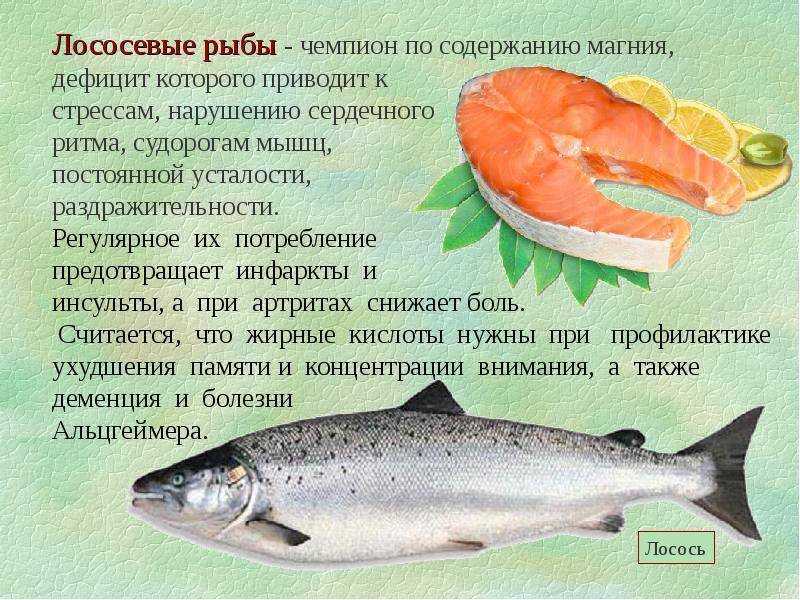 Рыба семга в россии: речная или морская ?