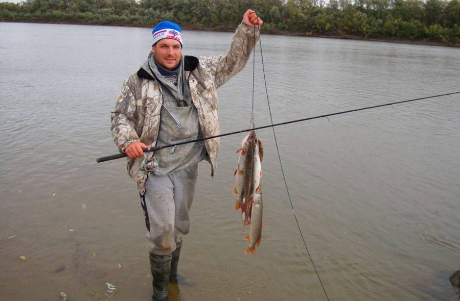 Рыбалка в кемеровской области – самые уловистые места - трофейная рыбалка