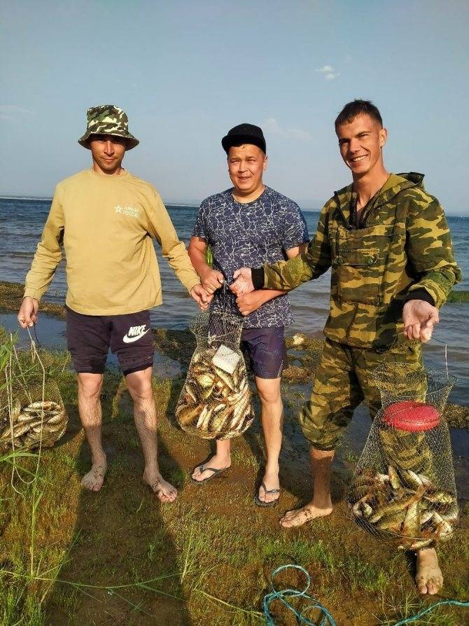 Обзор лучших мест для рыбалки на алтае в 2021 году, озера и реки
