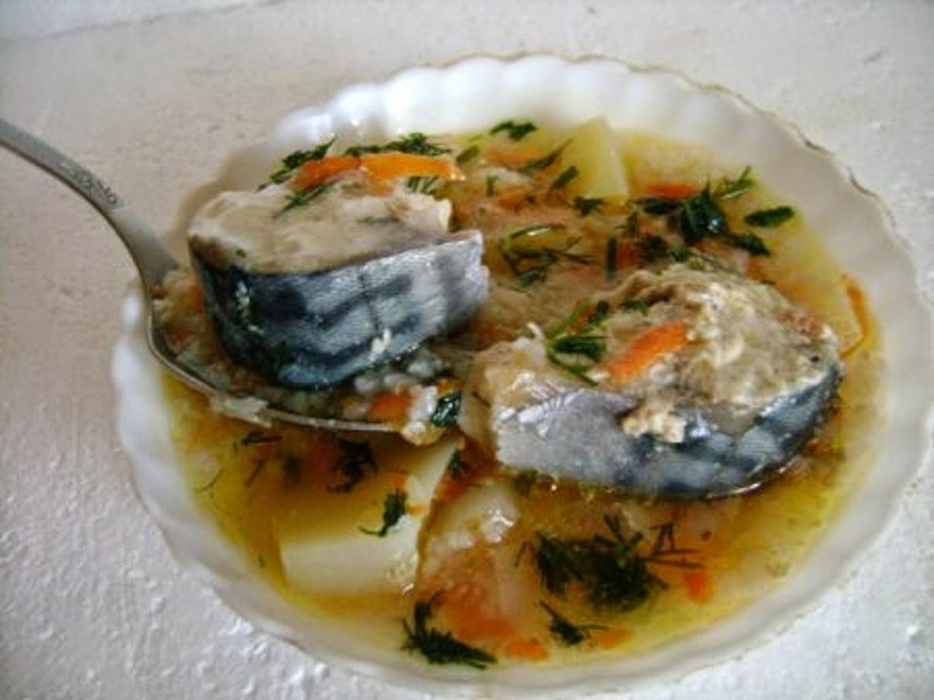 Уха из скумбрии свежемороженной и консервированной