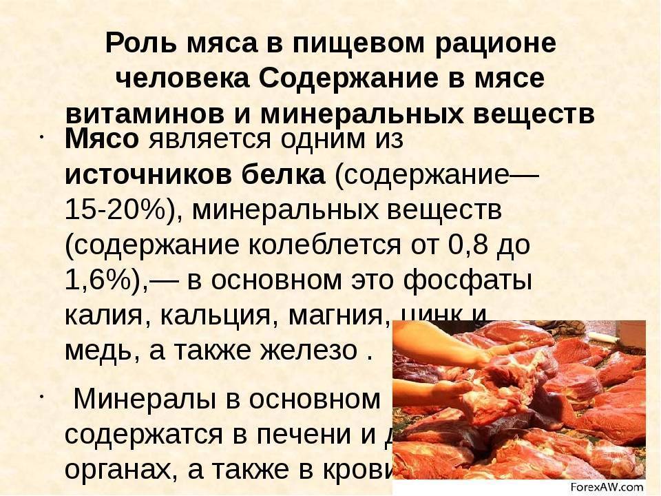 Калорийность форели на 100 граммов, состав бжу, польза и вред для организма