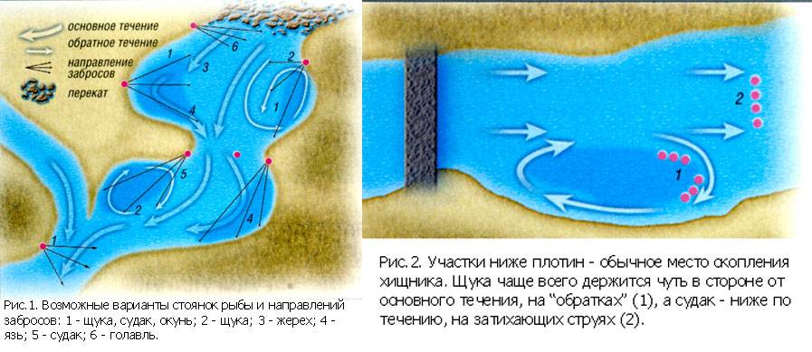Таганрогский залив – наибольший залив азовского моря