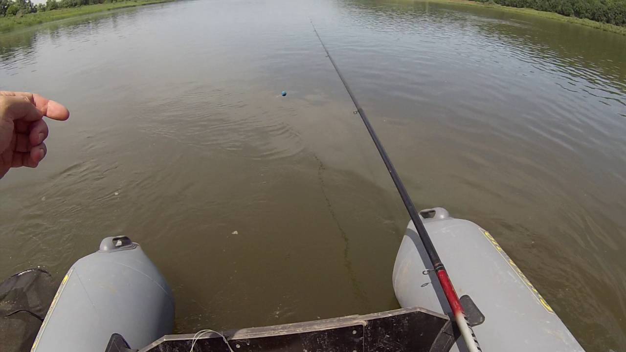 Рыбалка в проводку на течении с берега