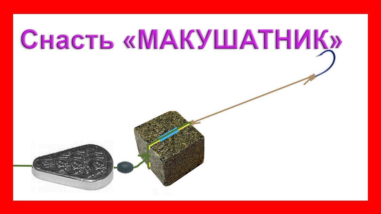 Ловля сазана на жмых: снасть и особенности рыбалки
