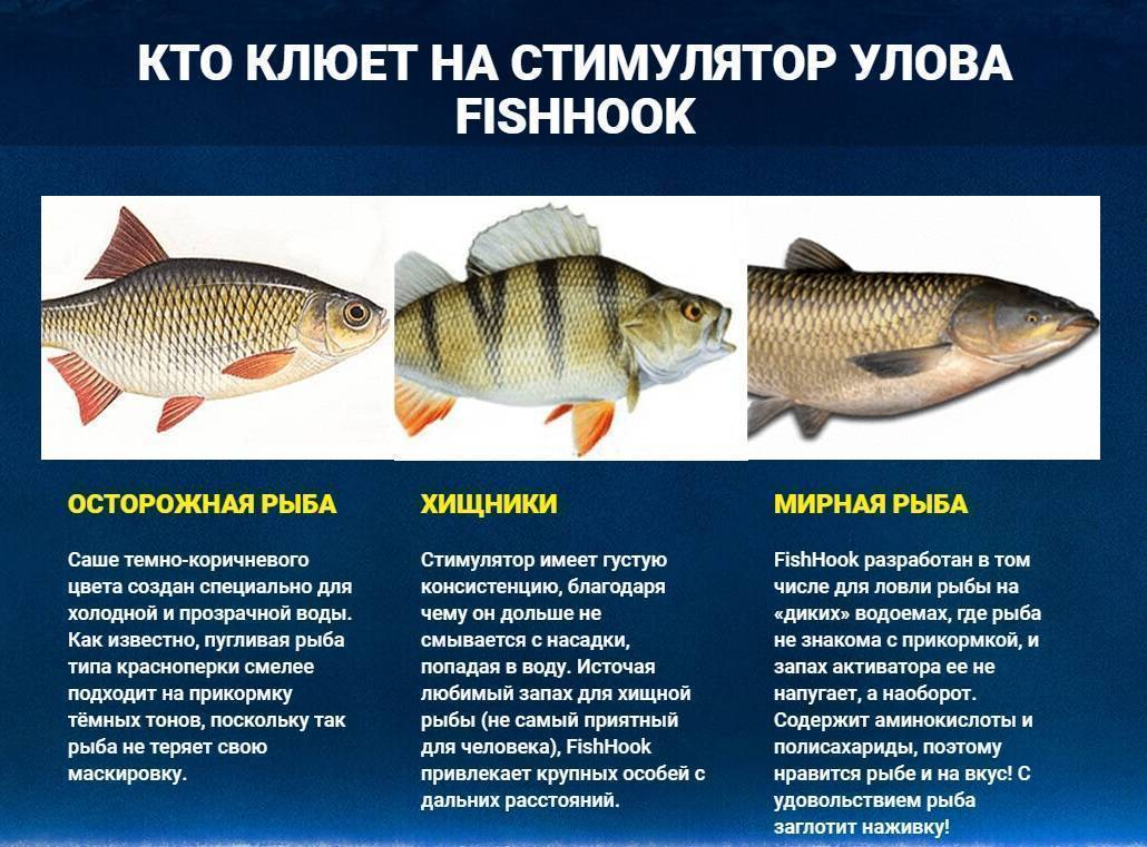 Fishhook (большой улов) активатор клева - рыбалка - всё о рыбалке
