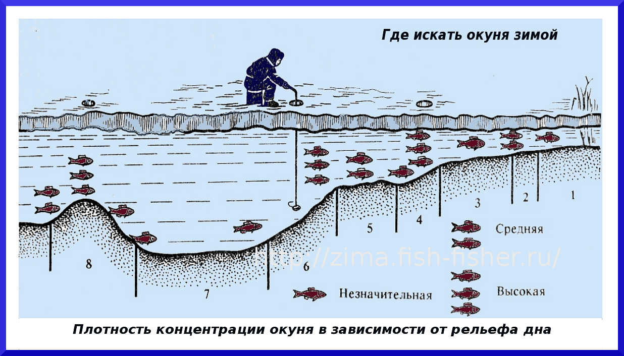 Ловля леща весной на фидер на реке