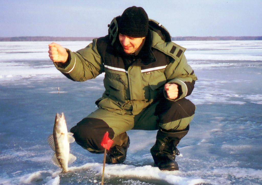 ᐉ яузское водохранилище - место для рыбака - ✅ ribalka-snasti.ru